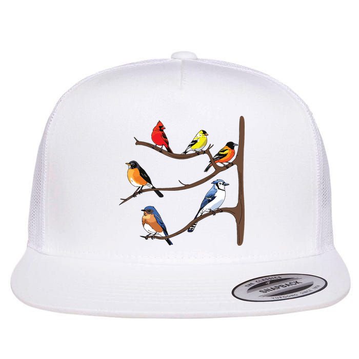 Birds On A Branch Birding Birdwatching Birder Bird Watcher Flatbill Hat