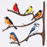 Birds On A Branch Birding Birdwatching Birder Bird Watcher Flatbill Hat