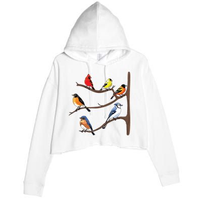 Birds On A Branch Birding Birdwatching Birder Bird Watcher Crop Fleece Hoodie