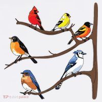Birds On A Branch Birding Birdwatching Birder Bird Watcher Mesh Reversible Basketball Jersey Tank