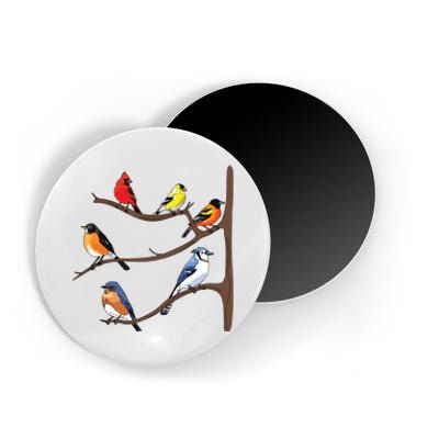 Birds On A Branch Birding Birdwatching Birder Bird Watcher Magnet