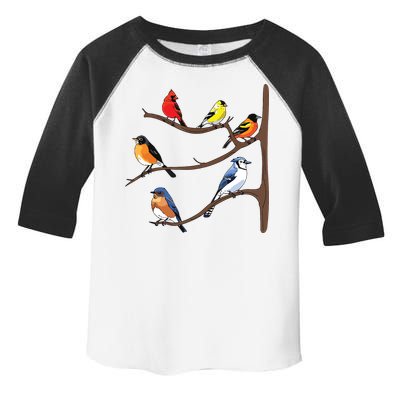 Birds On A Branch Birding Birdwatching Birder Bird Watcher Toddler Fine Jersey T-Shirt