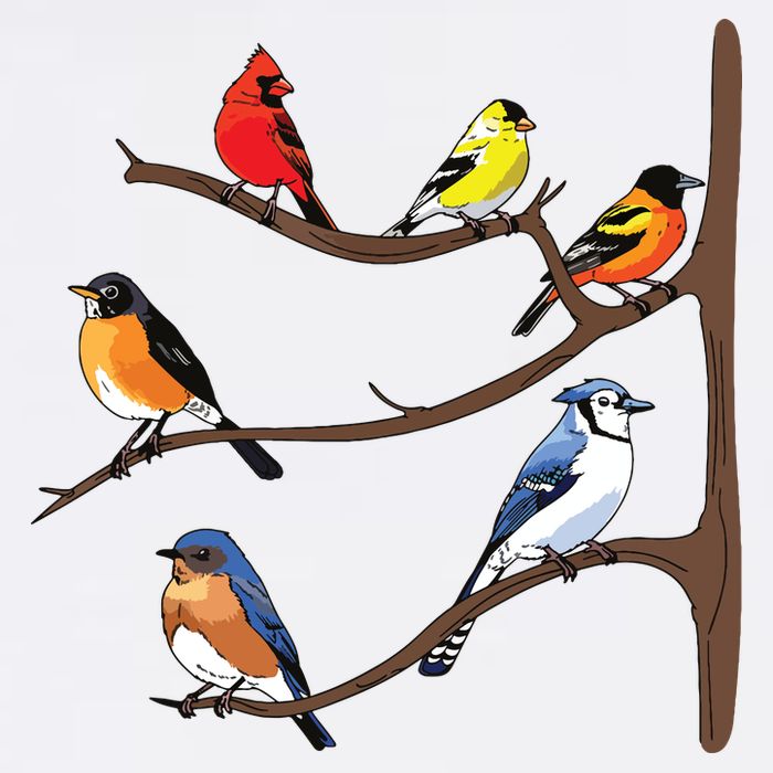 Birds On A Branch Birding Birdwatching Birder Bird Watcher Toddler T-Shirt