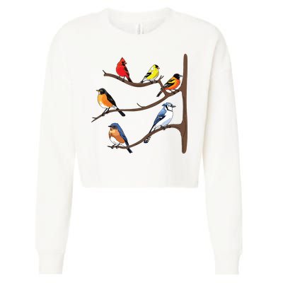 Birds On A Branch Birding Birdwatching Birder Bird Watcher Cropped Pullover Crew