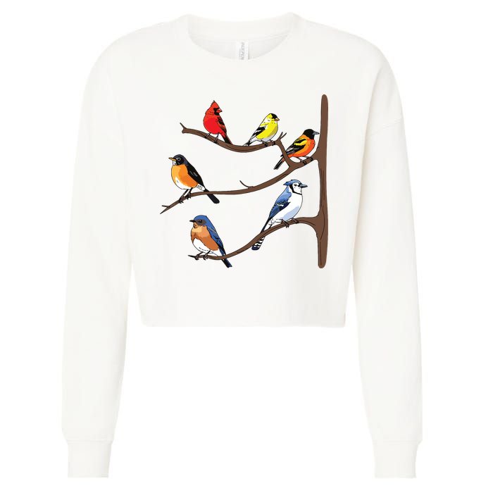 Birds On A Branch Birding Birdwatching Birder Bird Watcher Cropped Pullover Crew