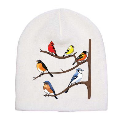 Birds On A Branch Birding Birdwatching Birder Bird Watcher Short Acrylic Beanie