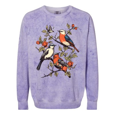 Birds On A Tree Branch Birding Bird Watching Bird Colorblast Crewneck Sweatshirt