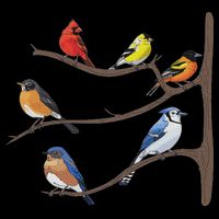 Birds On A Branch Birding Bird Watching Birder Bird Watcher 7-Panel Snapback Hat