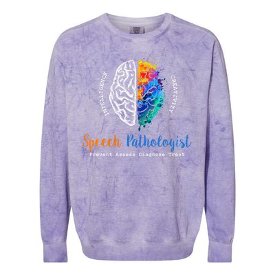 Brain Of A Speech Pathologist Colorblast Crewneck Sweatshirt