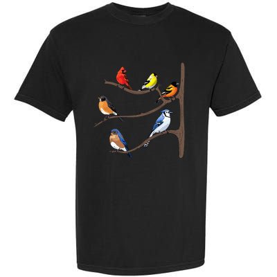 Birds On A Branch Birding Birdwatching Birder Bird Watcher Garment-Dyed Heavyweight T-Shirt