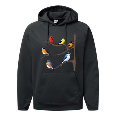 Birds On A Branch Birding Birdwatching Birder Bird Watcher Performance Fleece Hoodie