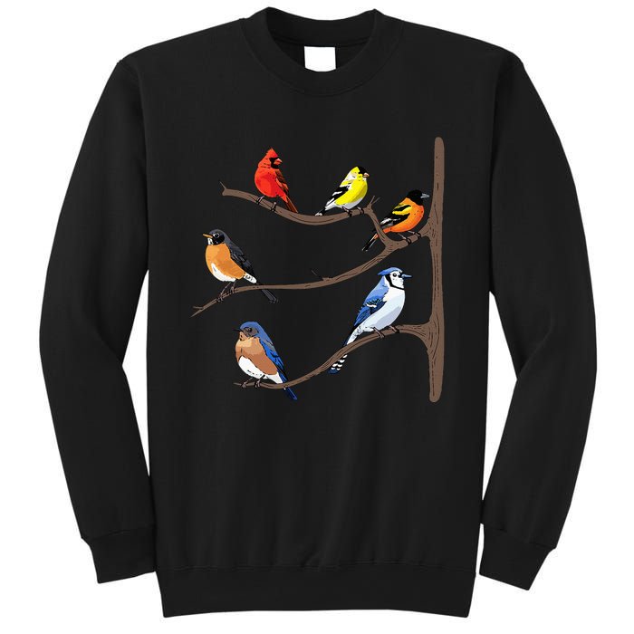 Birds On A Branch Birding Birdwatching Birder Bird Watcher Sweatshirt