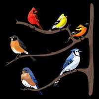 Birds On A Branch Birding Birdwatching Birder Bird Watcher 7-Panel Snapback Hat