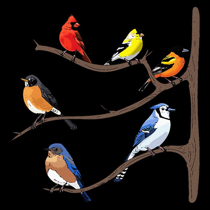 Birds On A Branch Birding Birdwatching Birder Bird Watcher 7-Panel Snapback Hat