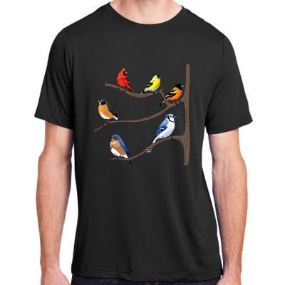 Birds On A Branch Birding Birdwatching Birder Bird Watcher Adult ChromaSoft Performance T-Shirt