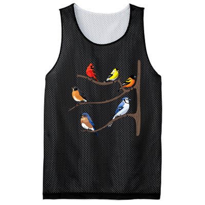 Birds On A Branch Birding Birdwatching Birder Bird Watcher Mesh Reversible Basketball Jersey Tank