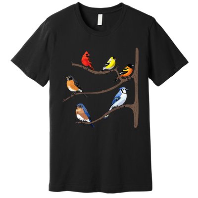 Birds On A Branch Birding Birdwatching Birder Bird Watcher Premium T-Shirt