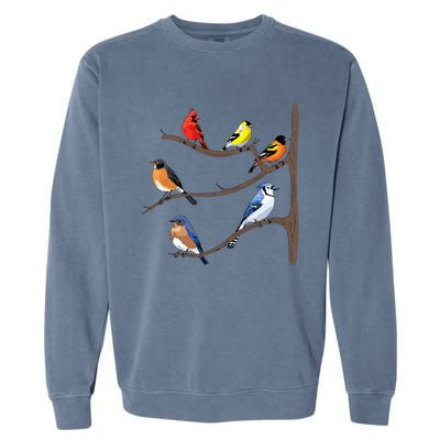 Birds On A Branch Birding Birdwatching Birder Bird Watcher Garment-Dyed Sweatshirt