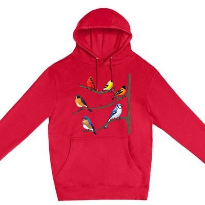 Birds On A Branch Birding Birdwatching Birder Bird Watcher Premium Pullover Hoodie