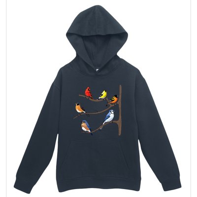 Birds On A Branch Birding Birdwatching Birder Bird Watcher Urban Pullover Hoodie