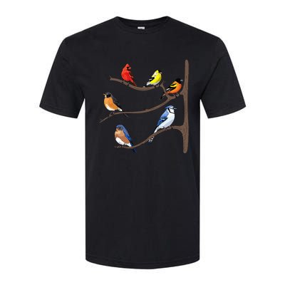 Birds On A Branch Birding Birdwatching Birder Bird Watcher Softstyle CVC T-Shirt