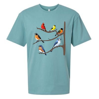 Birds On A Branch Birding Birdwatching Birder Bird Watcher Sueded Cloud Jersey T-Shirt