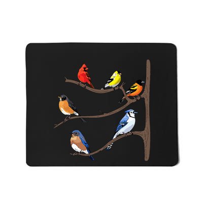 Birds On A Branch Birding Birdwatching Birder Bird Watcher Mousepad