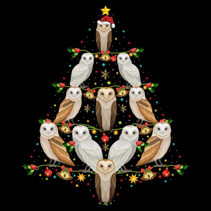 Barn Owl Bird Christmas Tree Gift Funny Christmas Barn Owl Gift Doggie Tank