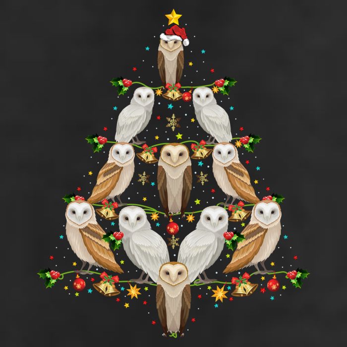 Barn Owl Bird Christmas Tree Gift Funny Christmas Barn Owl Gift Hat