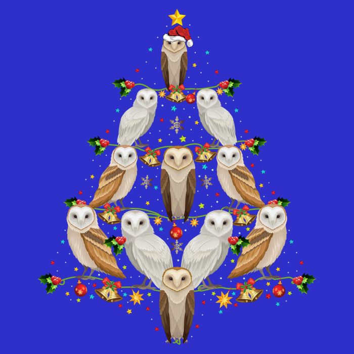 Barn Owl Bird Christmas Tree Gift Funny Christmas Barn Owl Gift 16 in Basic Backpack