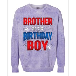 Brother Of Birthday Boy Costume Spider Web Birthday Party Colorblast Crewneck Sweatshirt