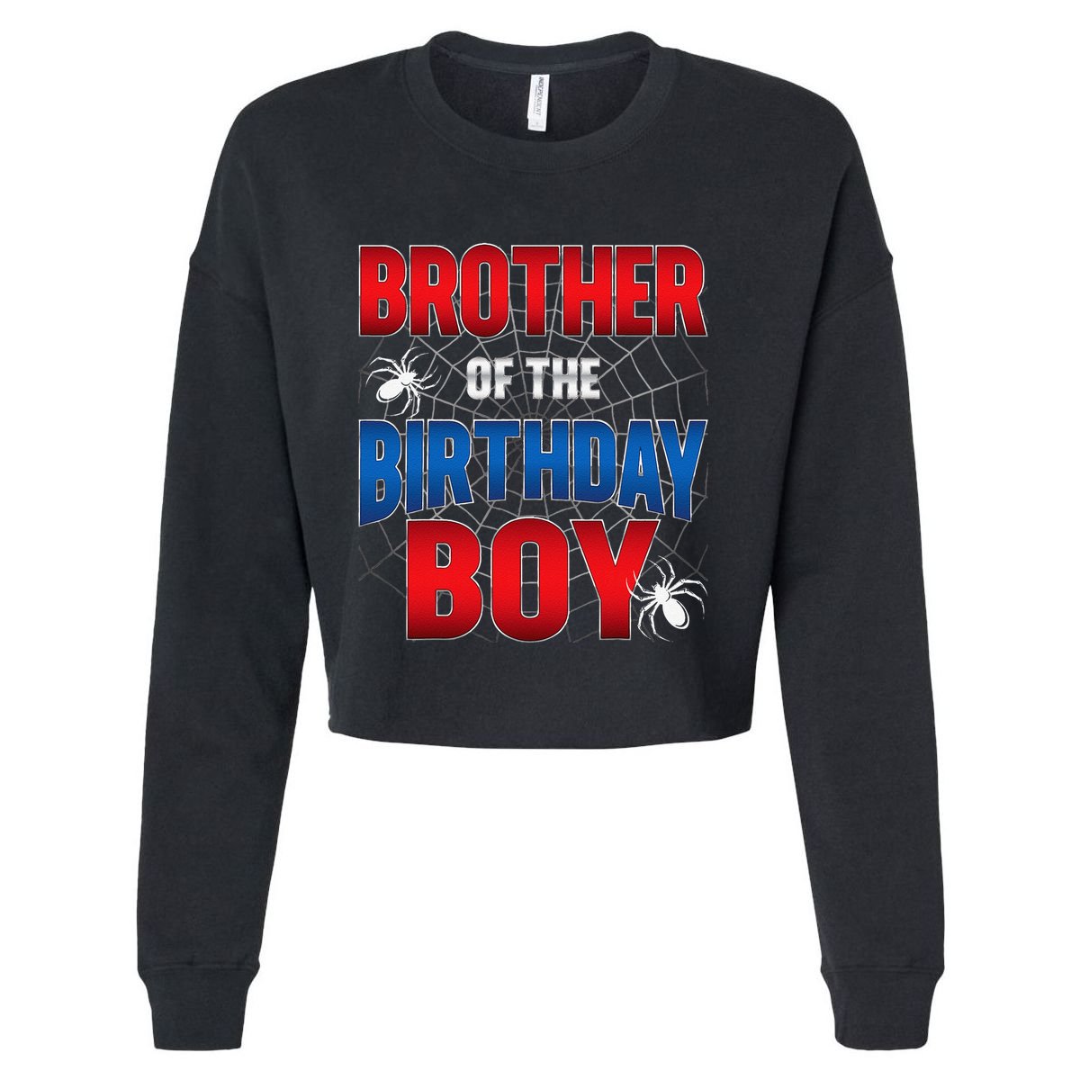 Brother Of Birthday Boy Costume Spider Web Birthday Party Cropped Pullover Crew