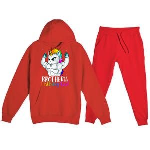 Brother Of Birthday Girl Unicorn Son Grandkid Nephew Premium Hooded Sweatsuit Set