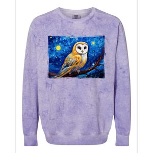 Barn Owl Colorful Bird Art Owl Van Gogh Owls Animals Owl Colorblast Crewneck Sweatshirt