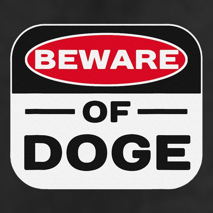 Beware Of Doge Meme Department Of Government Efficiency Beanie