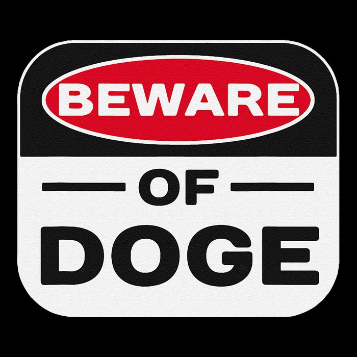 Beware Of Doge Meme Department Of Government Efficiency 16 in Basic Backpack