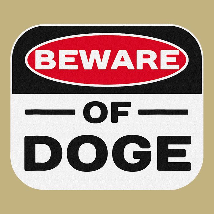 Beware Of Doge Meme Department Of Government Efficiency Cooling Performance Crew T-Shirt