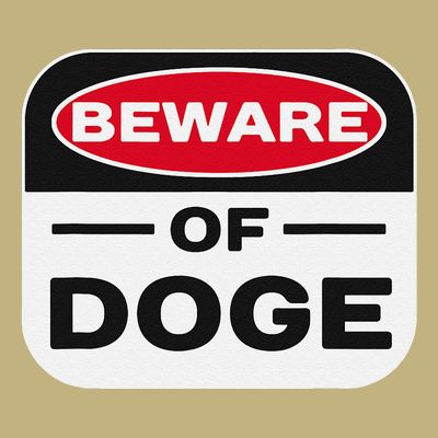 Beware Of Doge Meme Department Of Government Efficiency T-Shirt