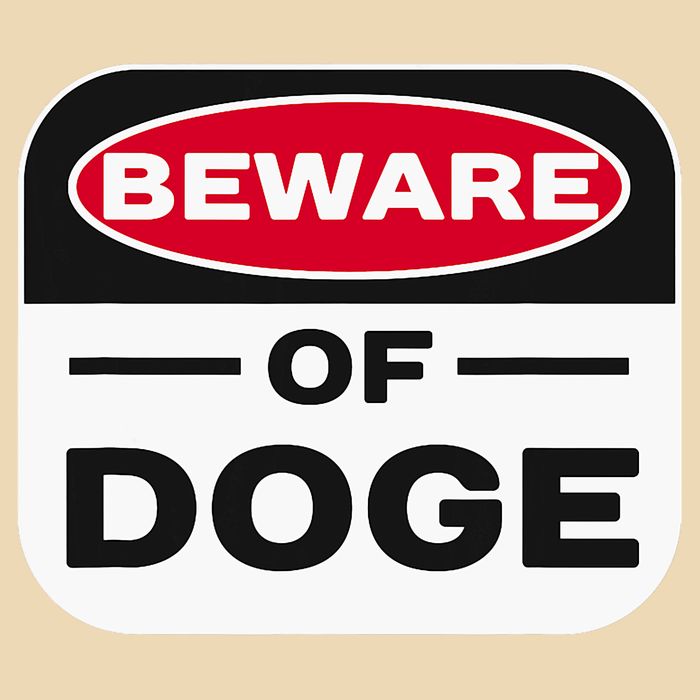 Beware Of Doge Meme Department Of Government Bag