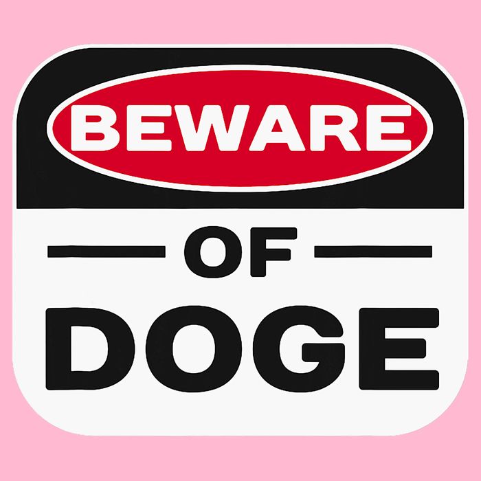 Beware Of Doge Meme Department Of Government Button