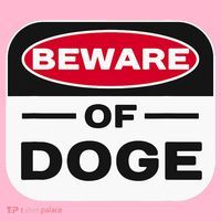 Beware Of Doge Meme Department Of Government Toddler T-Shirt