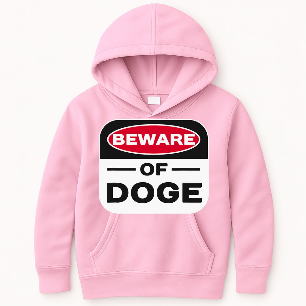 Beware Of Doge Meme Department Of Government Kids Hoodie