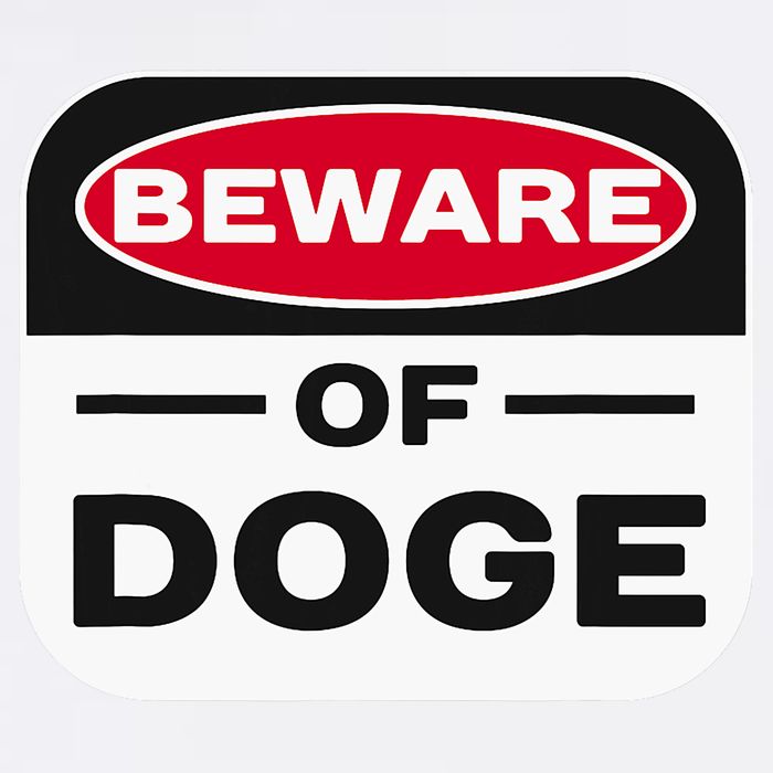Beware Of Doge Meme Department Of Government Apron