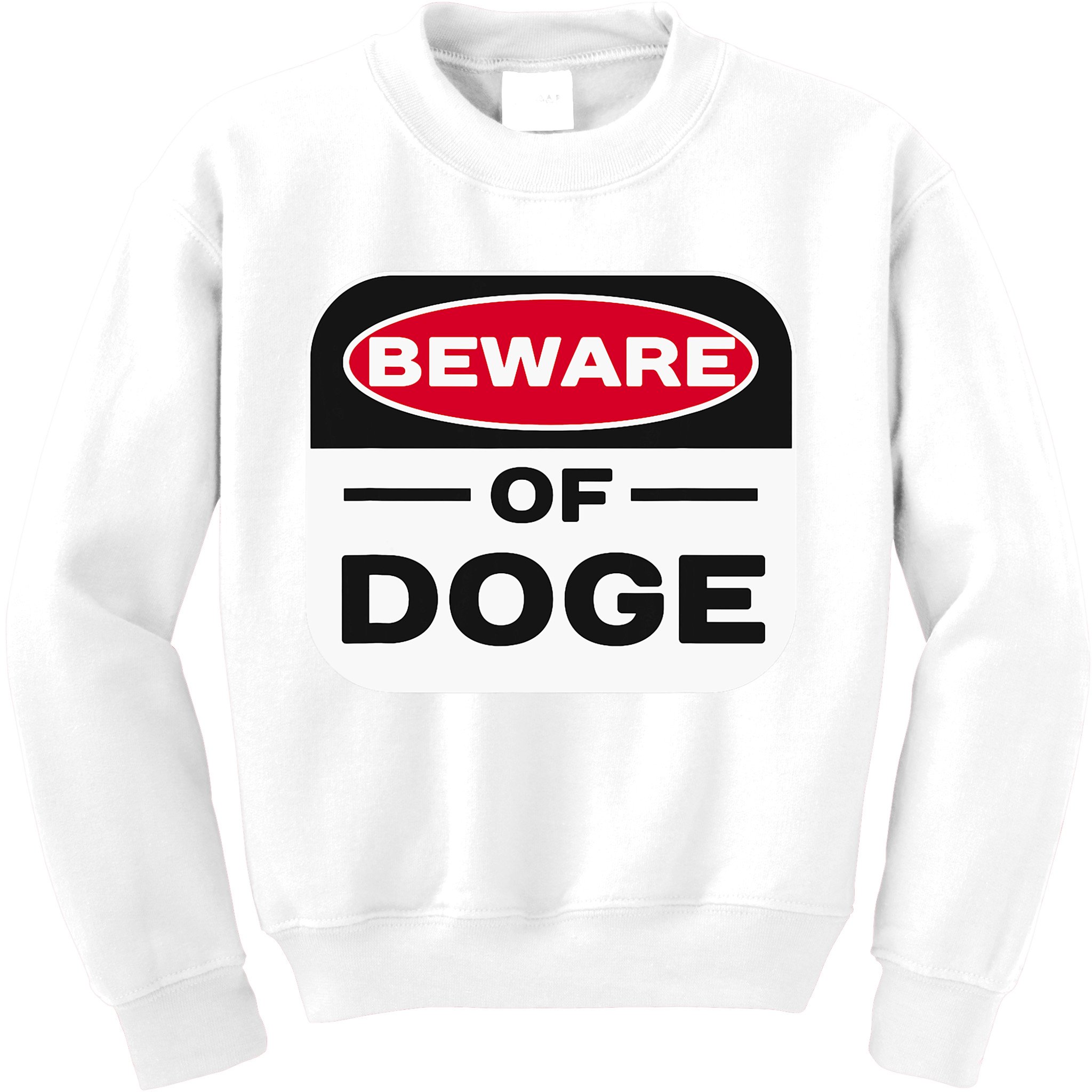 Beware Of Doge Meme Department Of Government Kids Sweatshirt