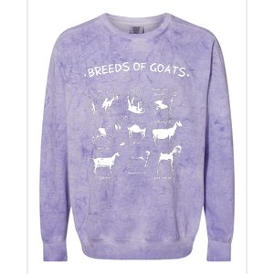 Breeds Of Goats Farmer Women Goat Colorblast Crewneck Sweatshirt