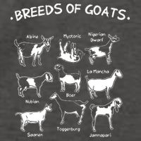 Breeds Of Goats Farmer Women Goat Vector Backpack