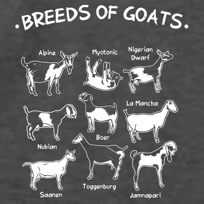 Breeds Of Goats Farmer Women Goat Vector Backpack