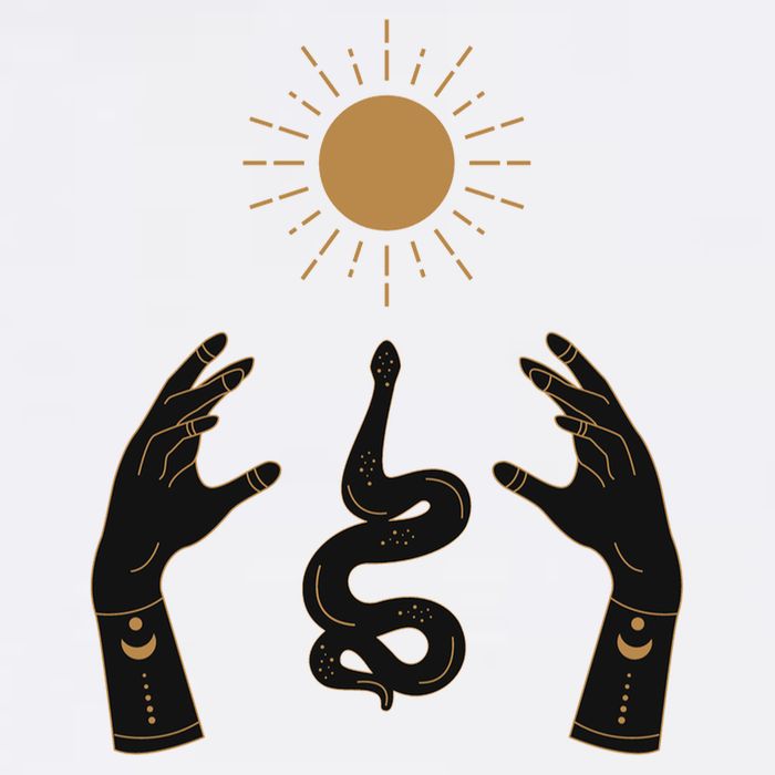 Boho Hands Reaching For The Sun Snake Garment-Dyed Sweatshirt