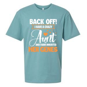 Back Off I Have A Crazy Aunt Nephew Niece Family Gift Sueded Cloud Jersey T-Shirt