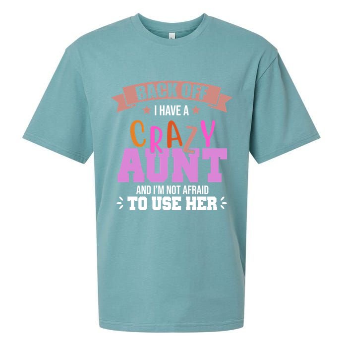 Back Off I Have A Crazy Aunt And I'm Not Afraid To Use Her Funny Sueded Cloud Jersey T-Shirt